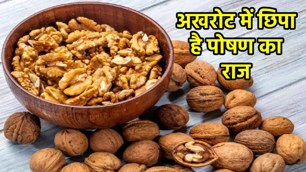 अखरोट में छिपा है पोषण का राज