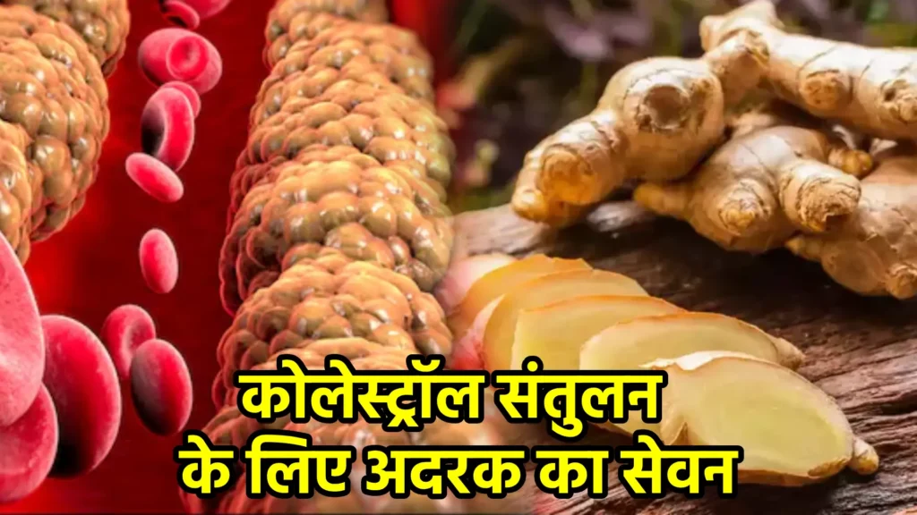 कोलेस्ट्रॉल संतुलन के लिए अदरक का सेवन