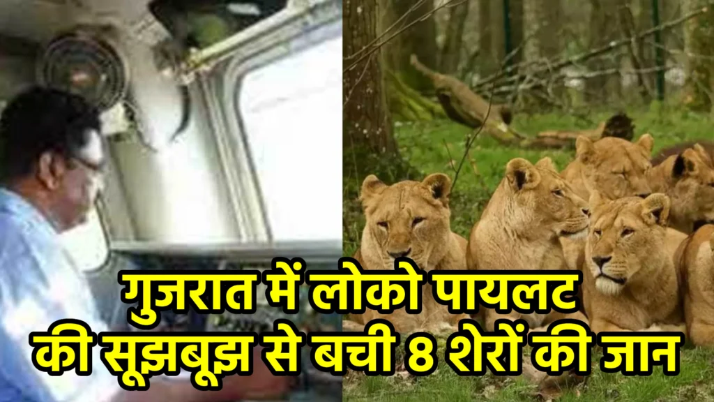 गुजरात में लोको पायलट की सूझबूझ से बची 8 शेरों की जान