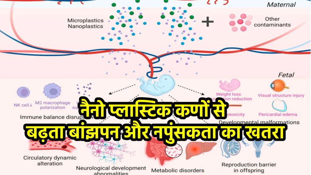 नैनो प्लास्टिक कणों से बढ़ता बांझपन और नपुंसकता का खतरा