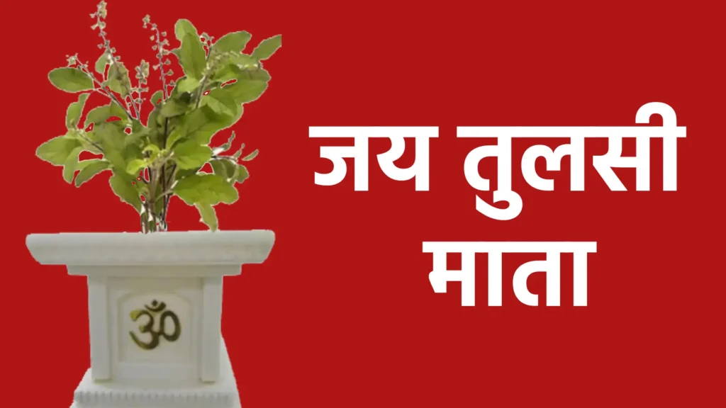 जय तुलसी माता