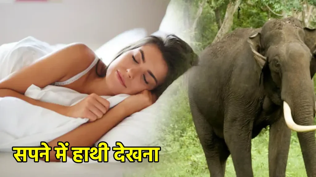 सपने में हाथी देखना
