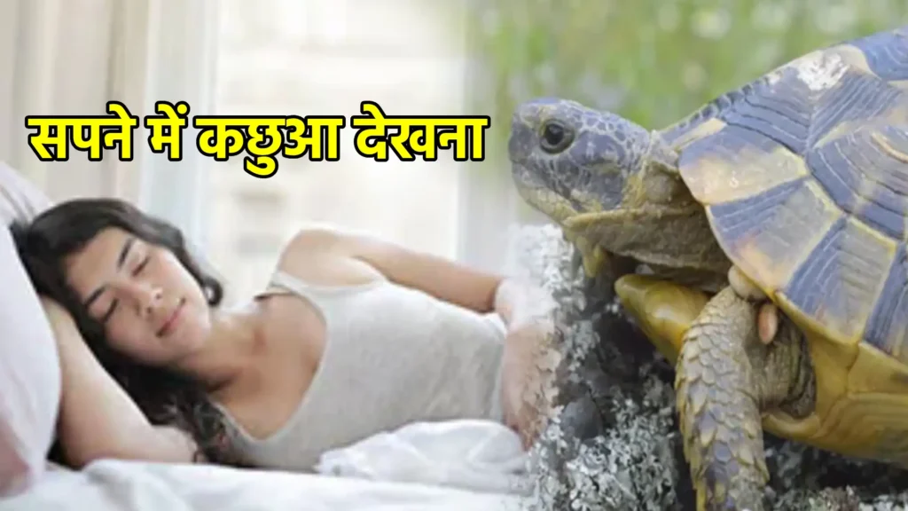 सपने में कछुआ देखना