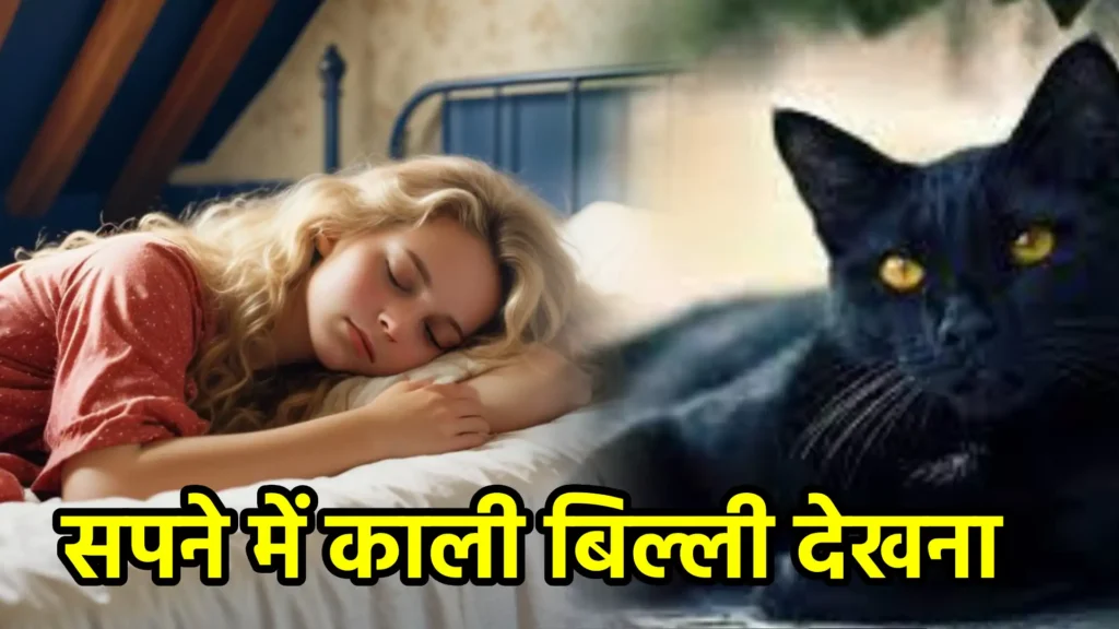 सपने में काली बिल्ली देखना