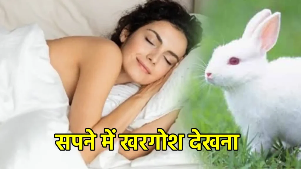 सपने में खरगोश देखना