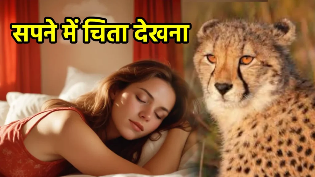 सपने में चिता देखना