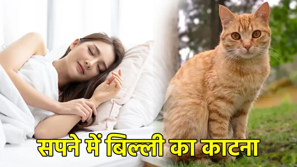 सपने में बिल्ली का काटना