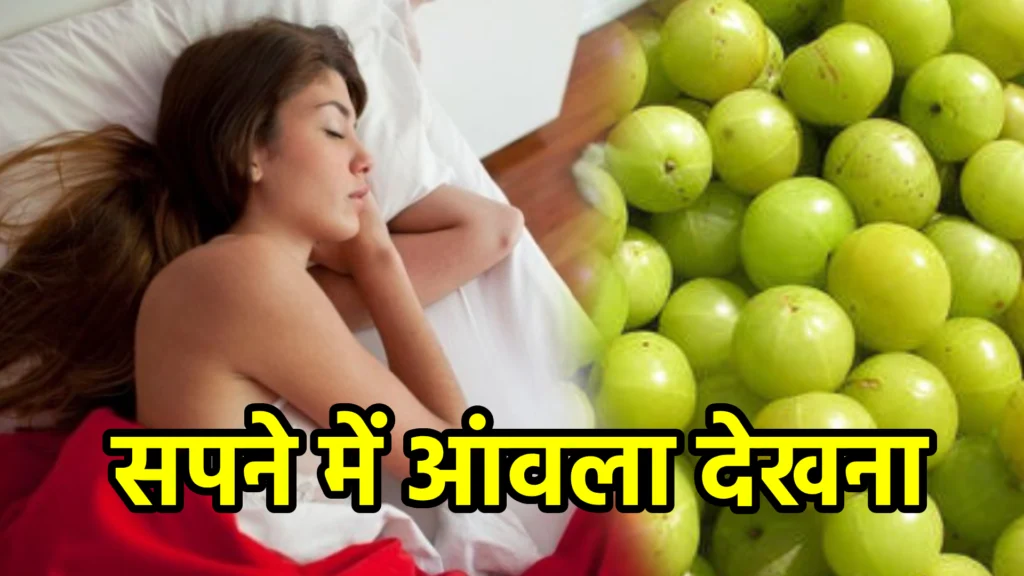सपने में आंवला देखना