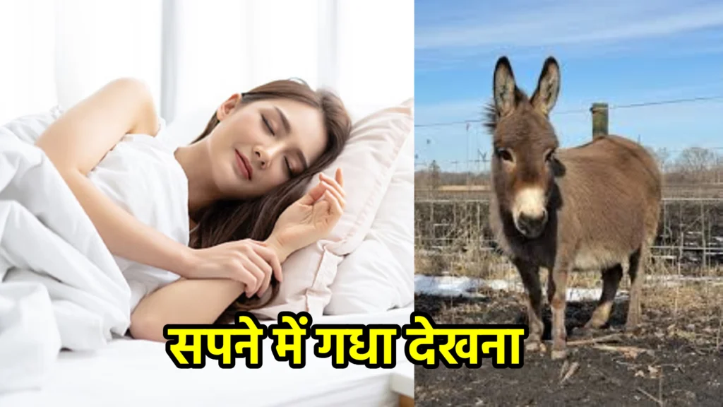 सपने में गधा देखना
