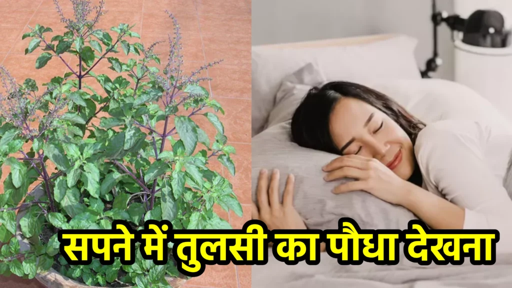 सपने में तुलसी का पौधा देखना