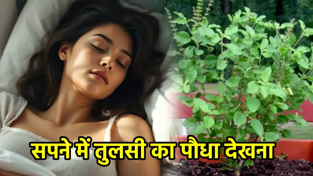 सपने में तुलसी का पौधा देखना