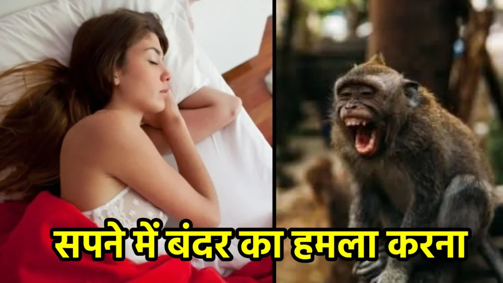 सपने में बंदर का हमला करना