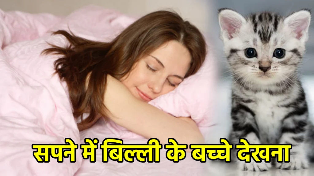 सपने में बिल्ली के बच्चे देखना