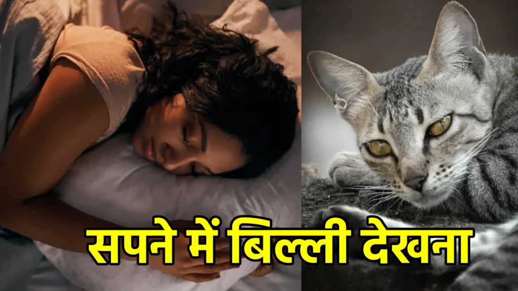 सपने में बिल्ली देखना