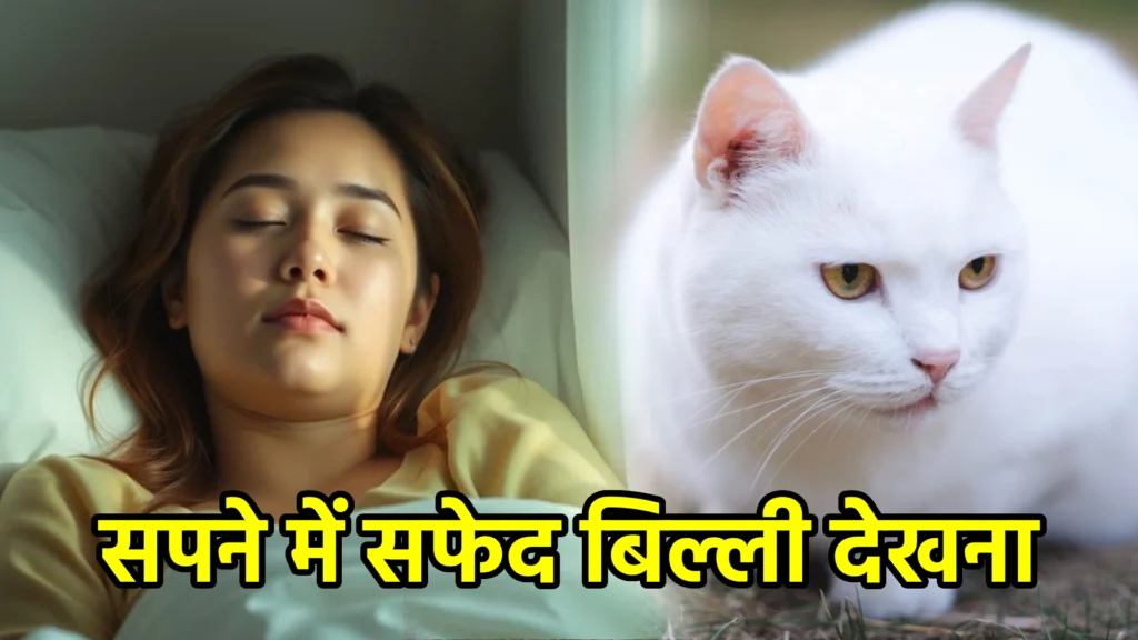 सपने में सफेद बिल्ली देखना