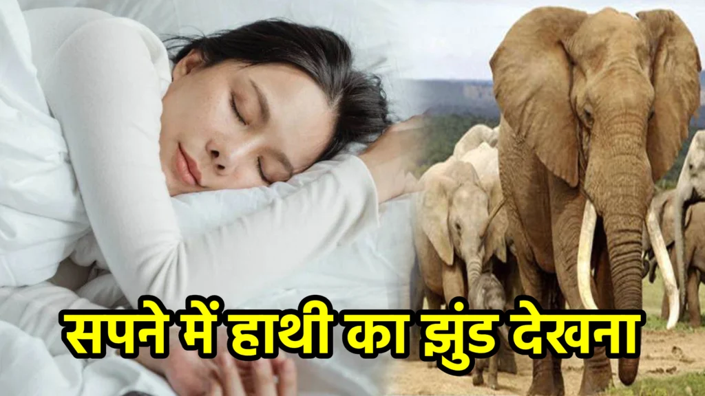 सपने में हाथी का झुंड देखना