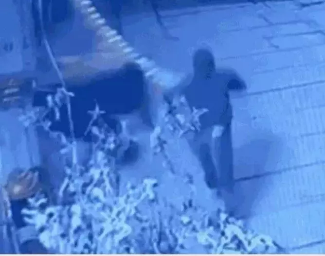 1001834222